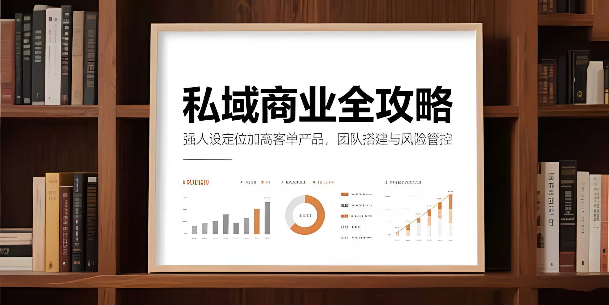 私域商业全攻略，强人设定位加高客单产品，团队搭建与风险管控