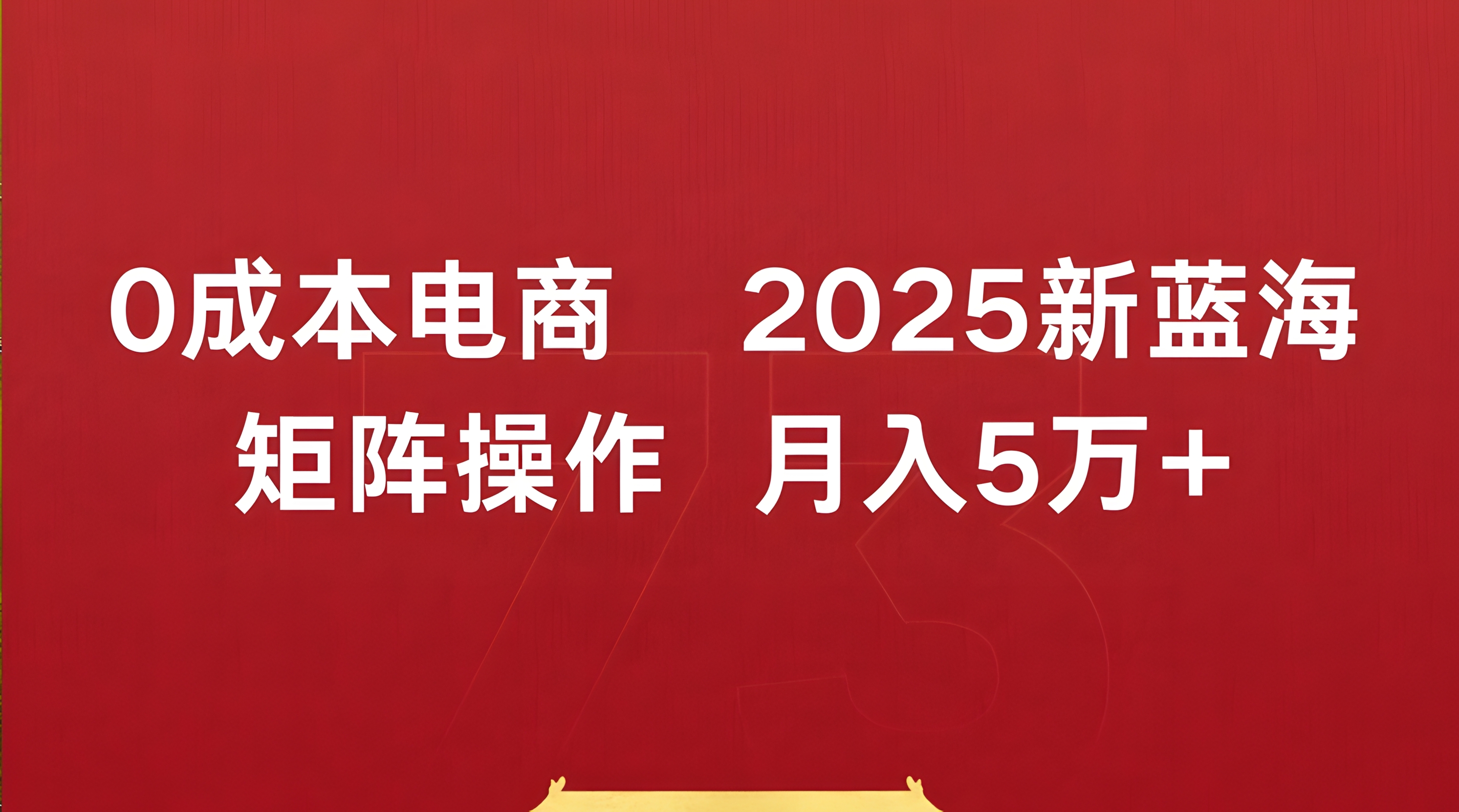 0成本电商2025新蓝海矩阵操作 月入5万+