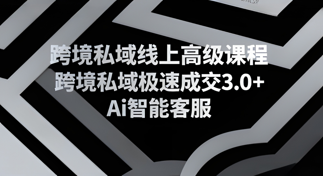 跨境私域线上高级课程,跨境私域极速成交3.0+Ai智能客服