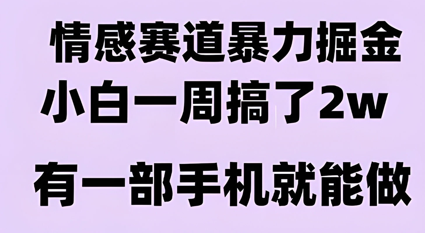 情感暴力掘金项目,新人操作一周挣了2W,长期稳定小白可做【揭秘】