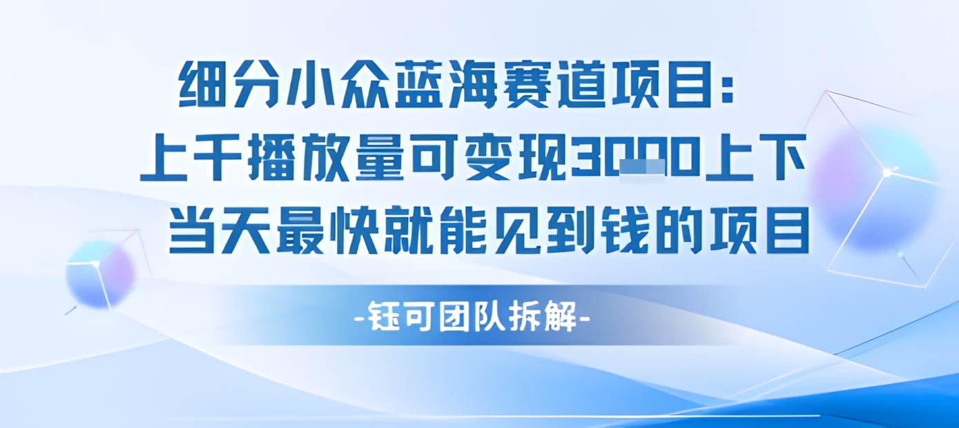 小众蓝海赛道项目:当天变现1k+适合新手操作 +适合长期玩