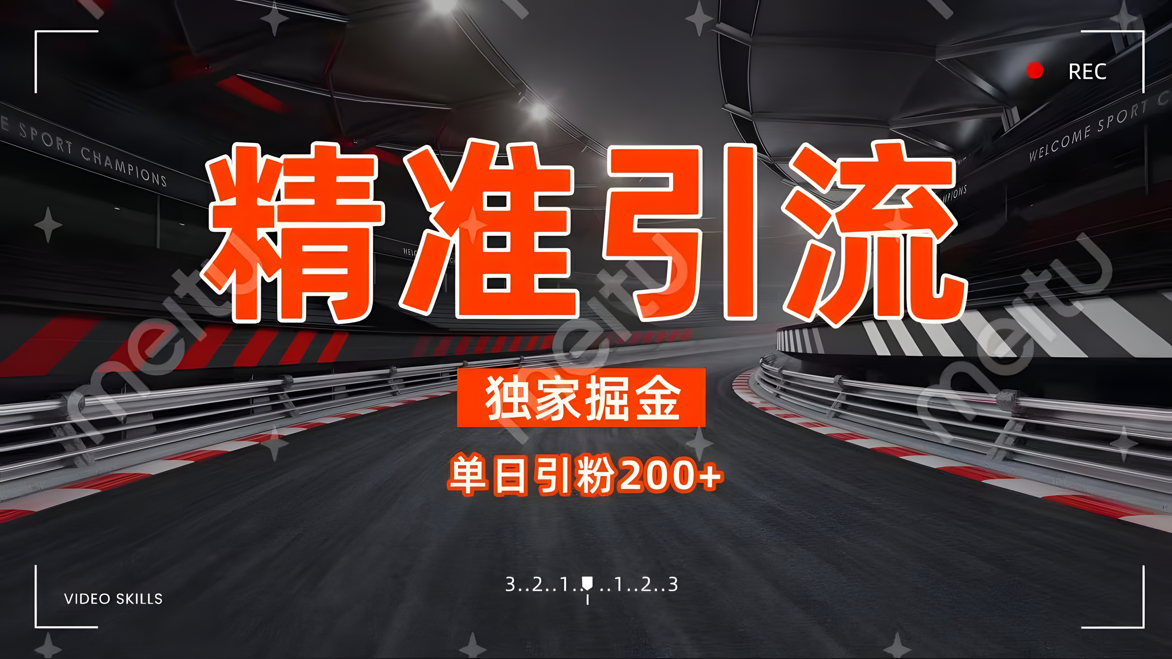 独家野路子精准引流 每日200+