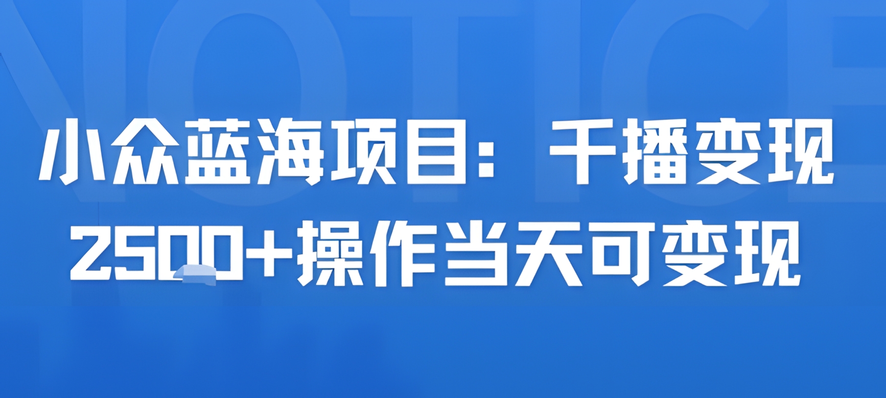 小众蓝海项目,千播变现2.5k+操作当天可变现
