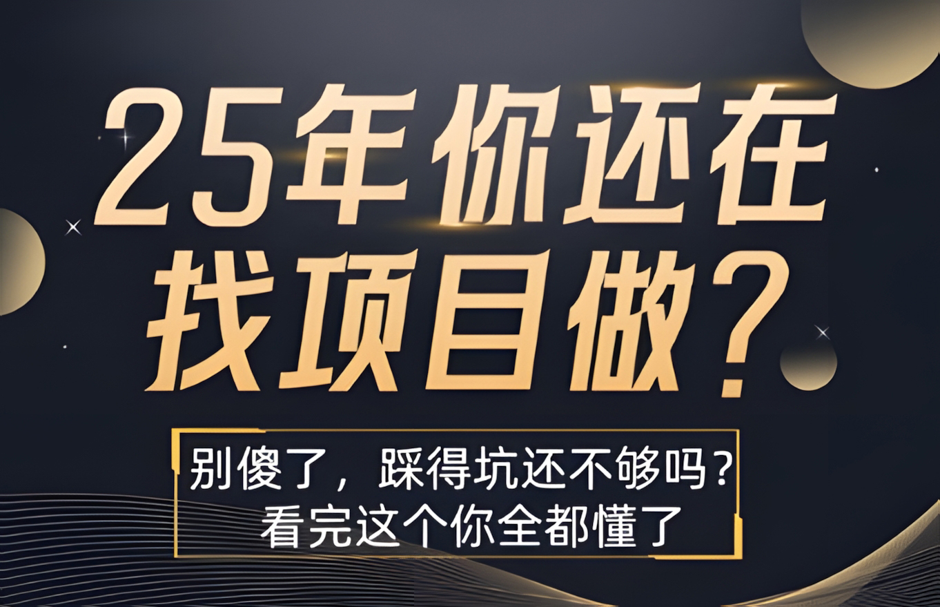 25年你还在疯狂的找项目吗?别傻了,看完这个你都懂了