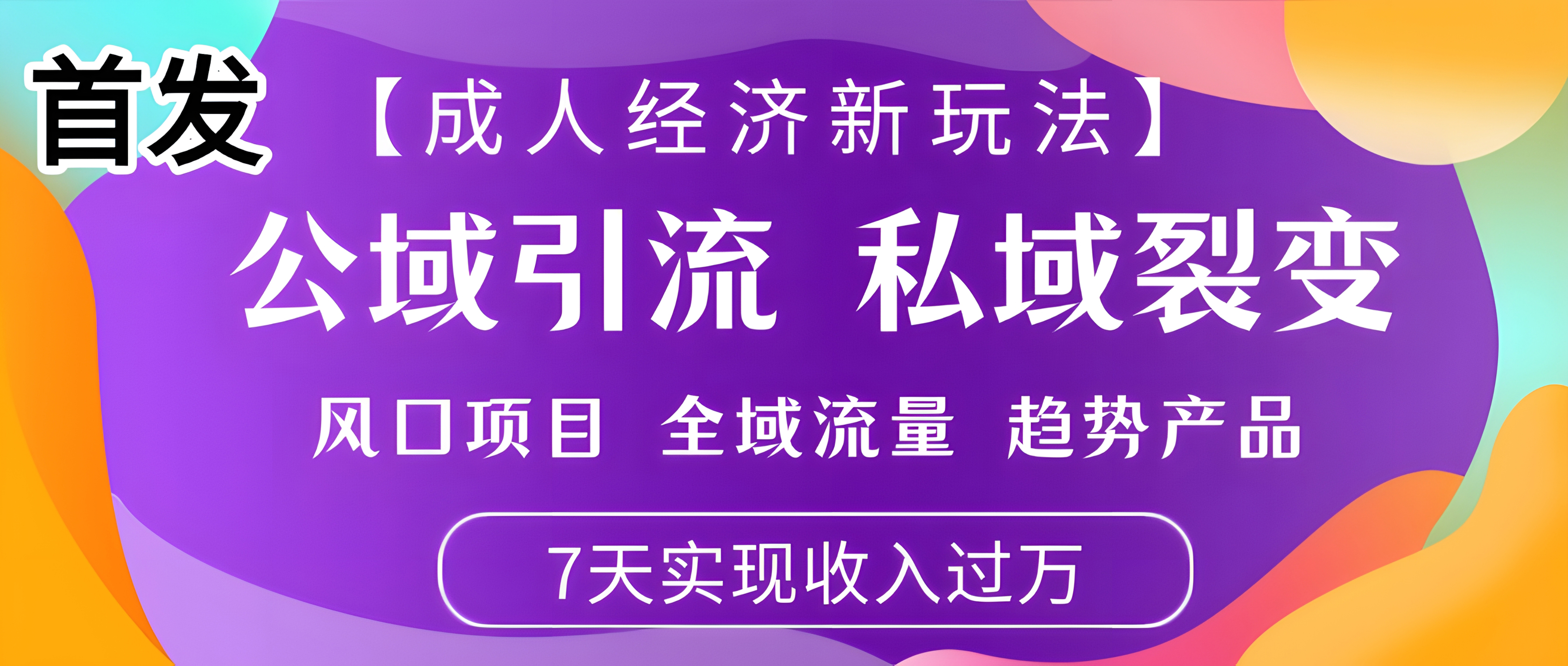 成人经济新玩法,市面独家玩法,风口项目、全域流量、趋势产品,7天实现月入过万